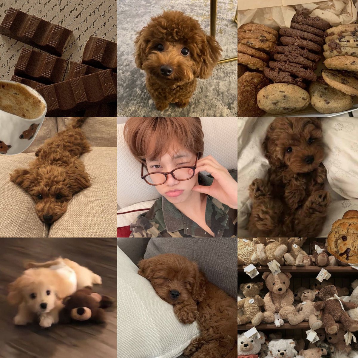 tangerin ninie 🍊🧸 tweet media