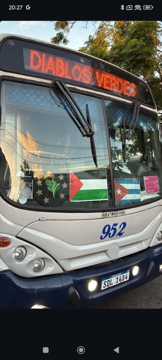 Maria (@maria33117515) on Twitter photo 