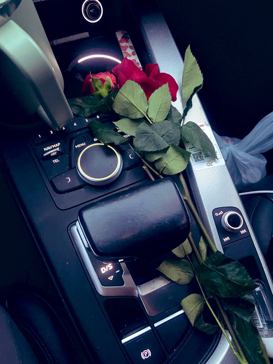 spez_xo's tweet photo. We love the annual roses everywhere year https://t.co/bjmj4pa7NB