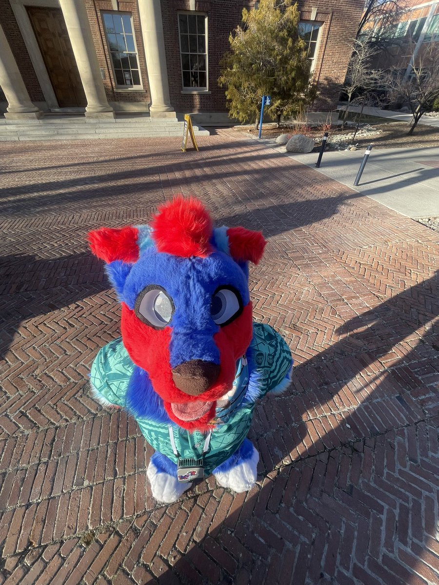 Pepsi ❤️🩵💙 tweet media