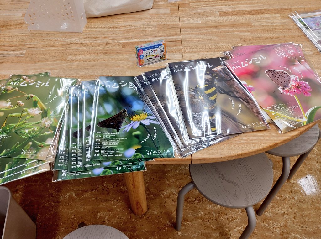 ムシミル🐞昆虫写真家が作るWeb図鑑 tweet media