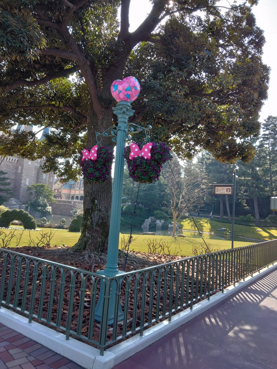 みどじゅに tweet media