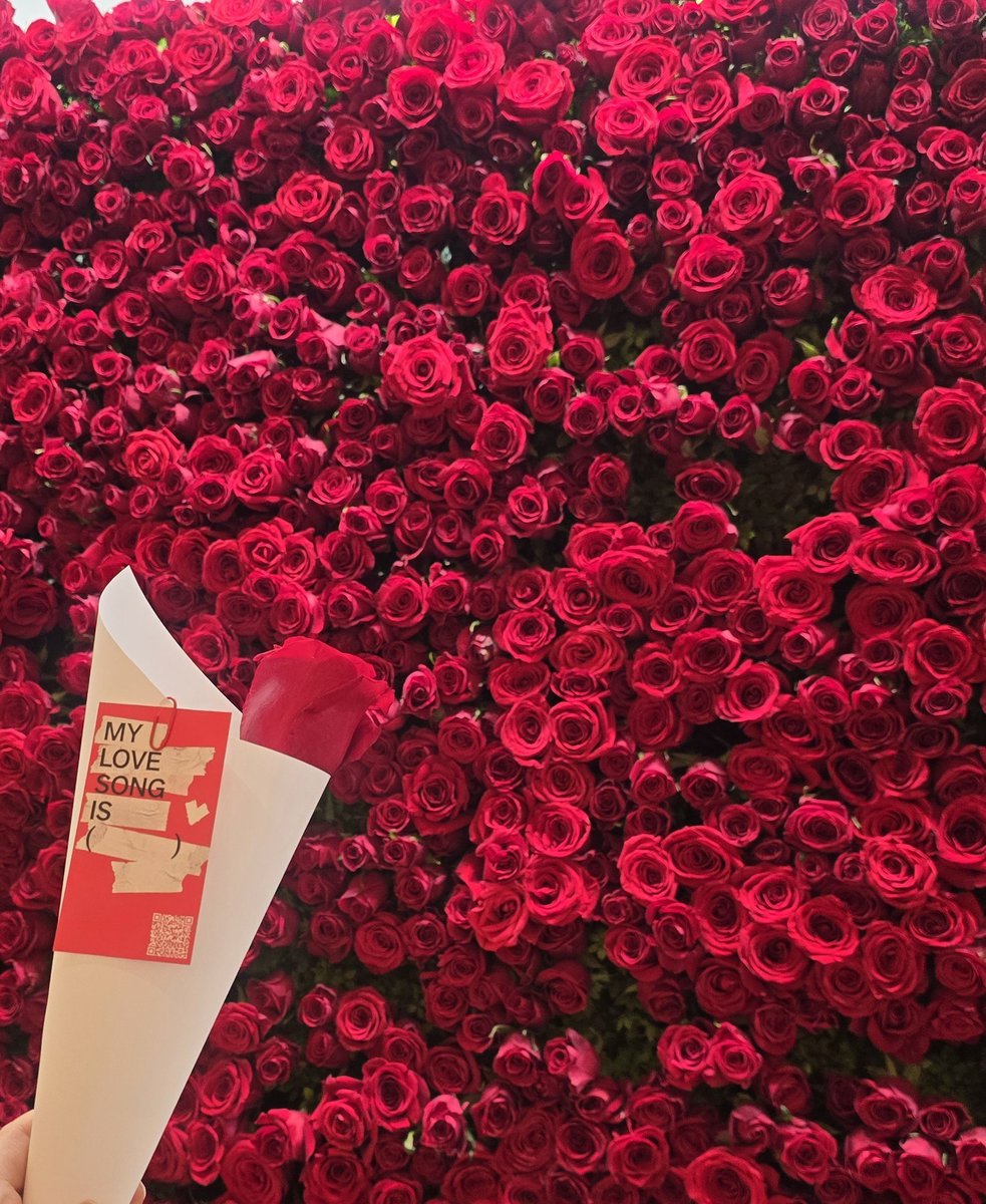 ดอกกุหลาบจาก <a href="/BTS_twt/">방탄소년단</a> วันนี้ (ที่เกาหลี) มีทั้งหมด 7,500 ดอก