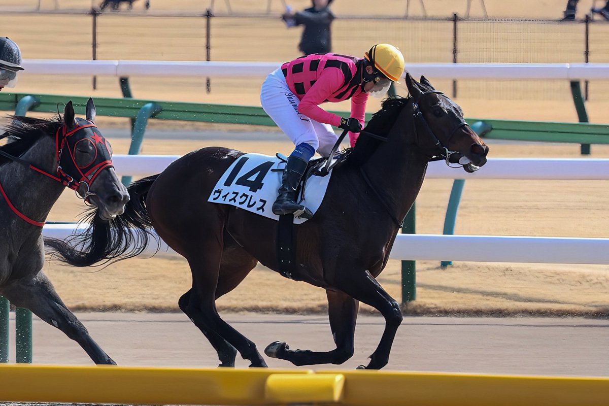 2026.02.14
東京4R 3歳新馬

ヴィスクレス×岩田康誠┊ 2着🥈