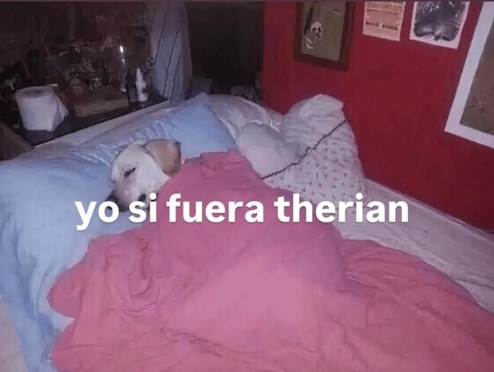 VerdeSelvah's tweet image. 