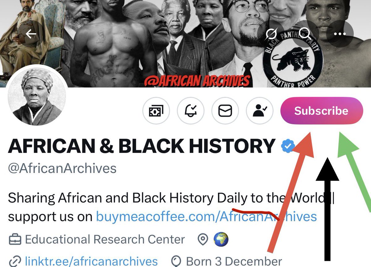 AFRICAN & BLACK HISTORY tweet media