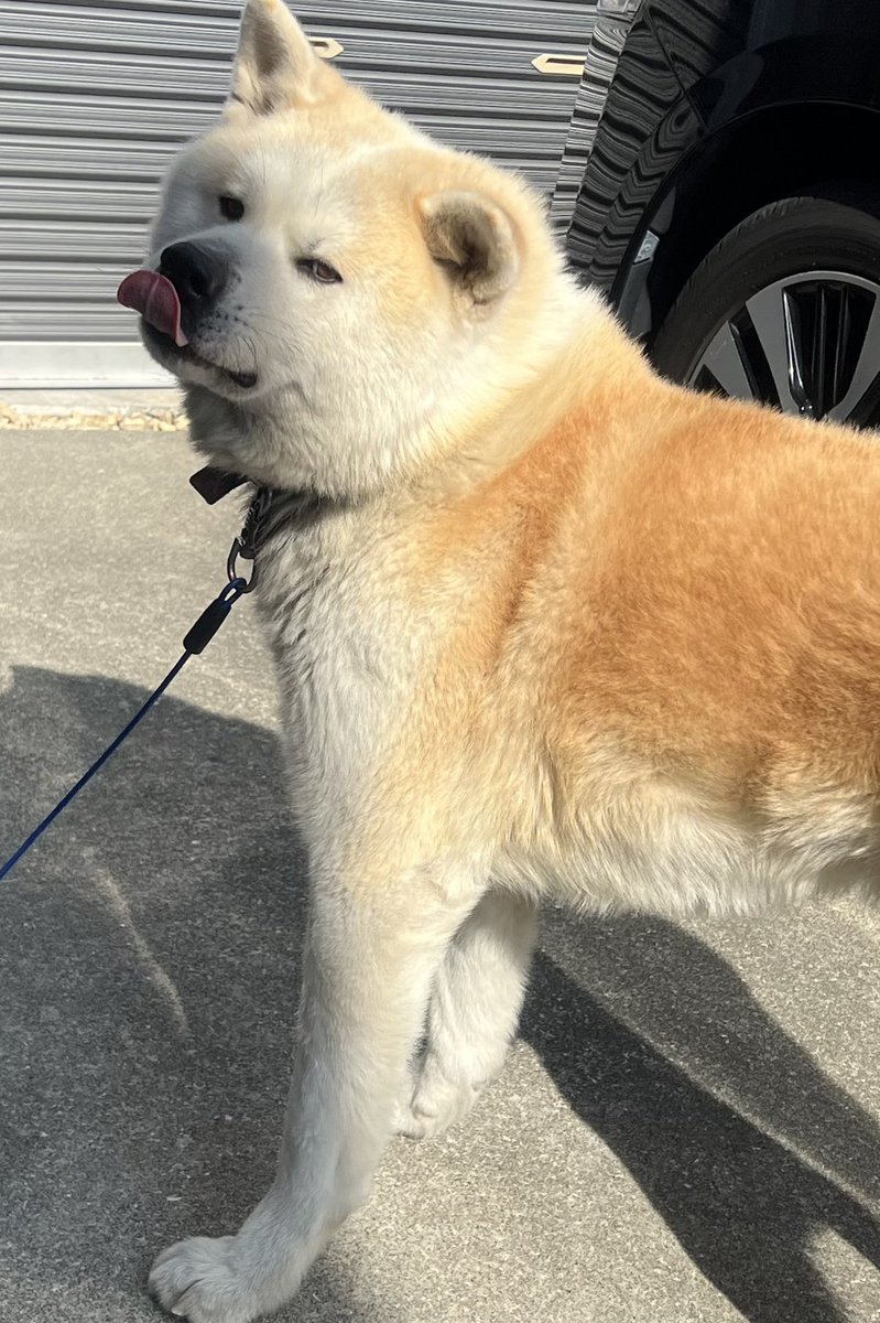 ْ (@65907_30_4) / Posts / X