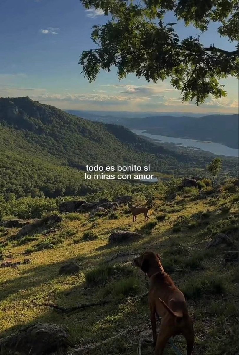 BANDIDOS (@bandidosfrasess) on Twitter photo 