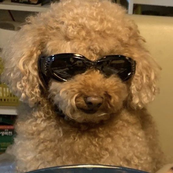 사회생활 잘 유지하는 팁✨️
친구를 많이 만드는 것보다 적을 만들지 않는 것이 중요하다🥹

저는 이걸 너무 늦게 알아서 첫 직장에서 너무너무 친구와 너무너무 적들을 잔뜩 만들었고,,, 개고생했다네요