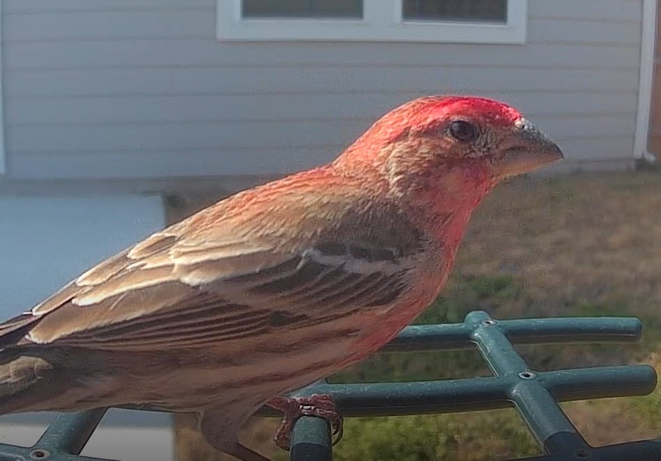 Cosmic Ben tweet media