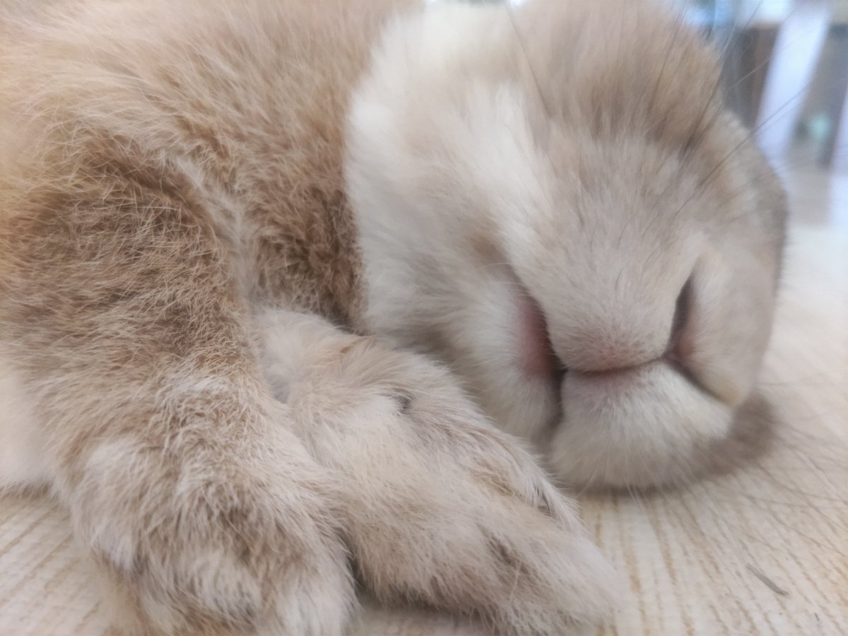 Valentine's 😚❤️