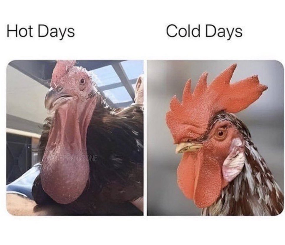 not cute & kinky memes (@cravedcuddle) on Twitter photo 