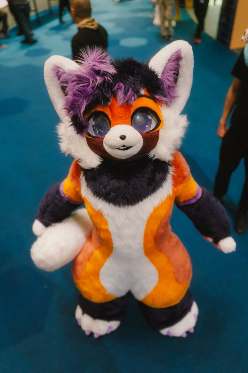 Archer Wah 🔜 Furlingame tweet media