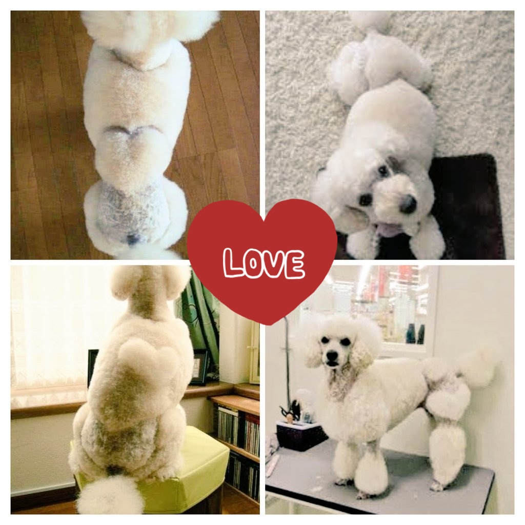 あちゃこ (@anzuko818) / Posts / X