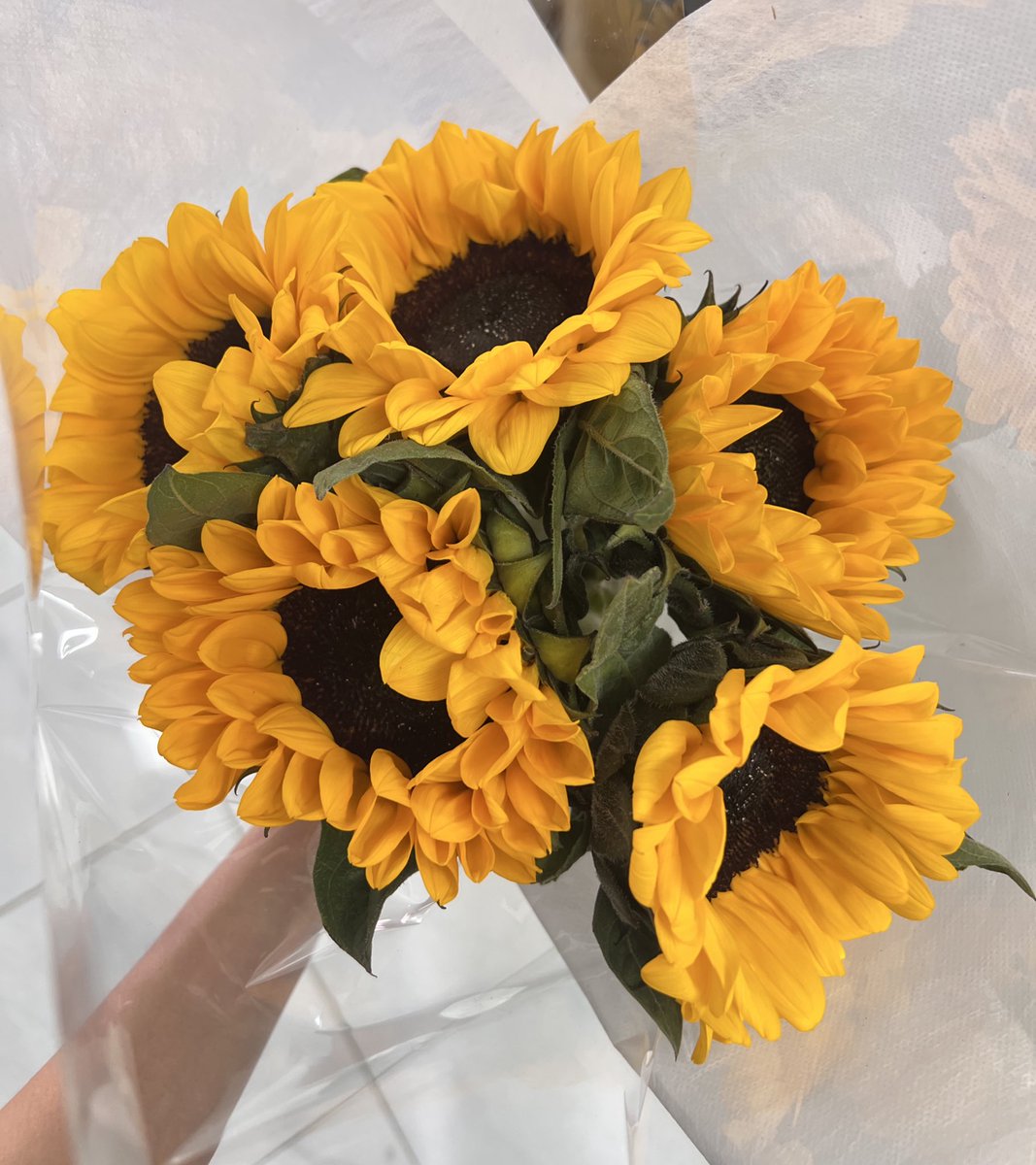 แงงงนึกว่าแฟนลืมม 😭😭💗🫶🏻🌻