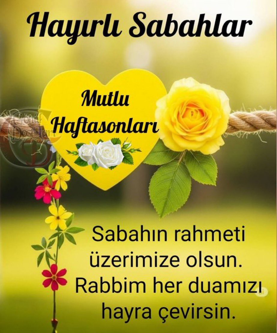 #Günaydın  

Yeni bir gün, yeni umutlar, yeni başlangıçlar  
Kahveni yudumla, hayata içten gülümse  
Bugün her şey gönlünce olsun
kalbin hafif kalsın 🌞☕ 

 #Bozkurt #Kurt 🐺
