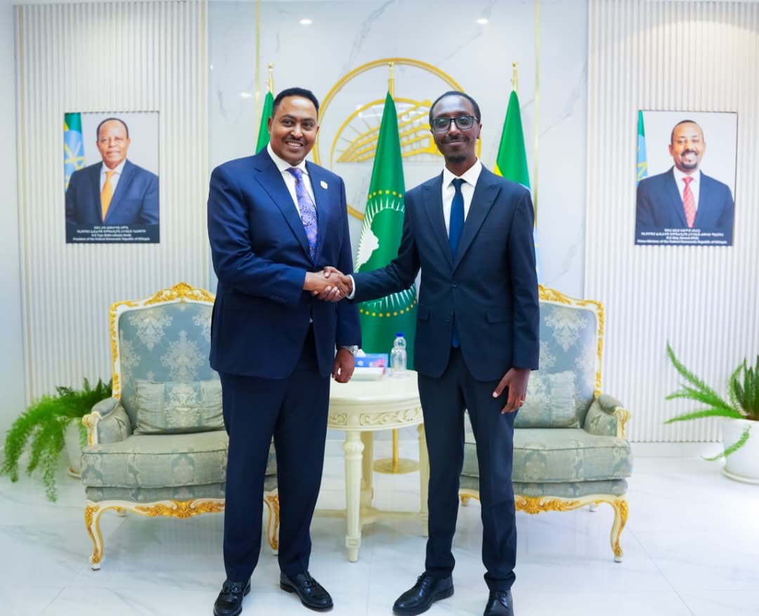 EriLion 💎 tweet media