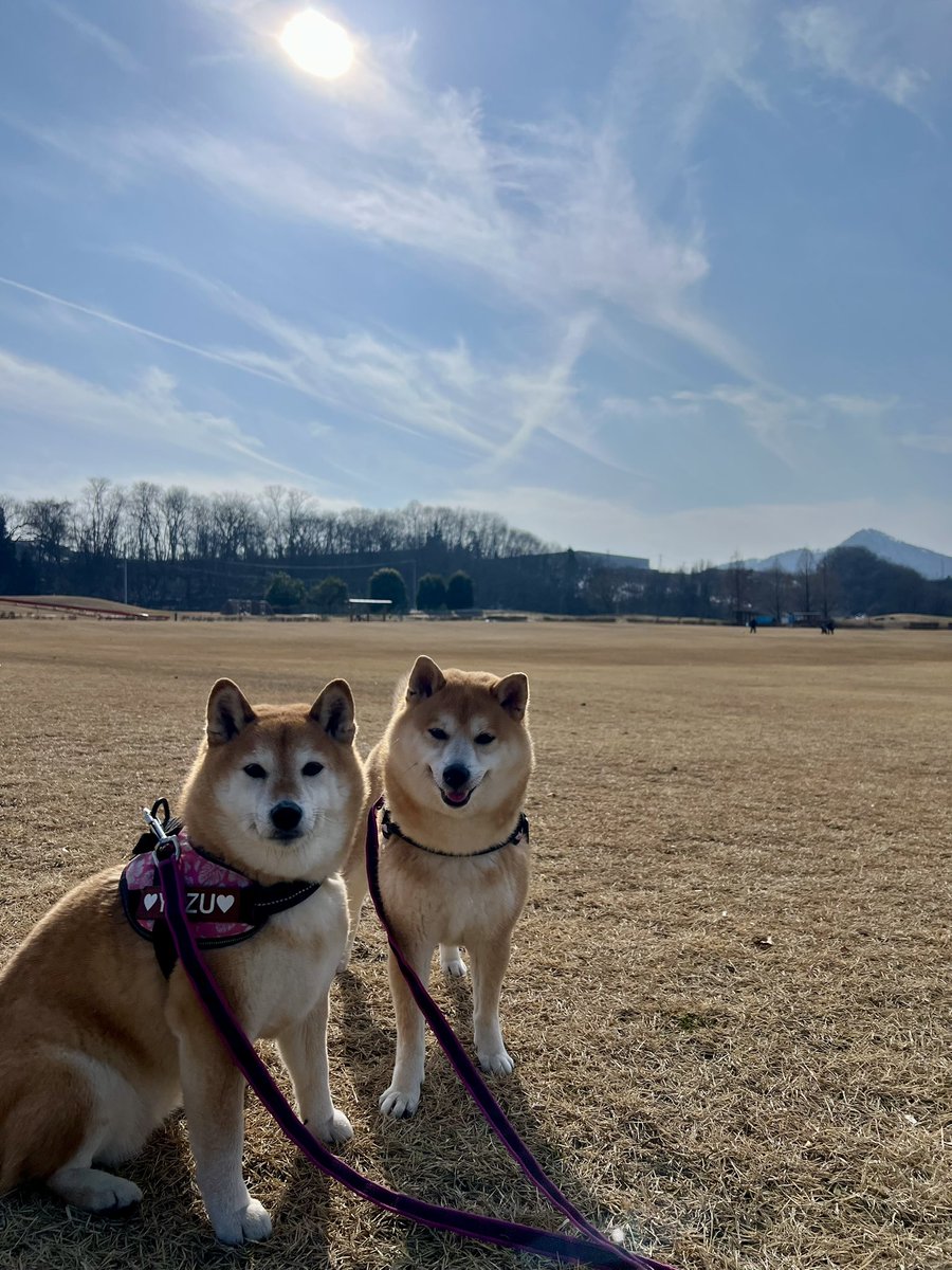 ゆず9🐾ぽんず5🐾 (@jajagi7jajagi) / Posts / X