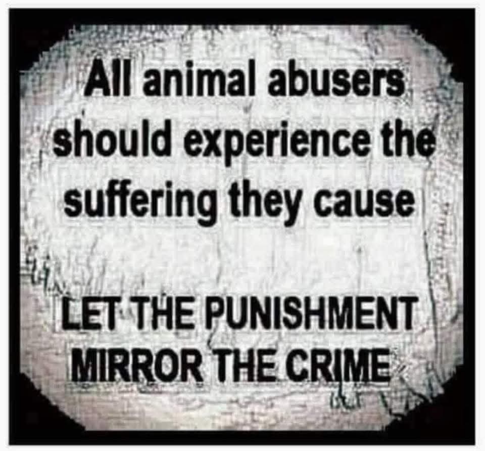 EYE for an EYE. Punishment should be equal. tweet media