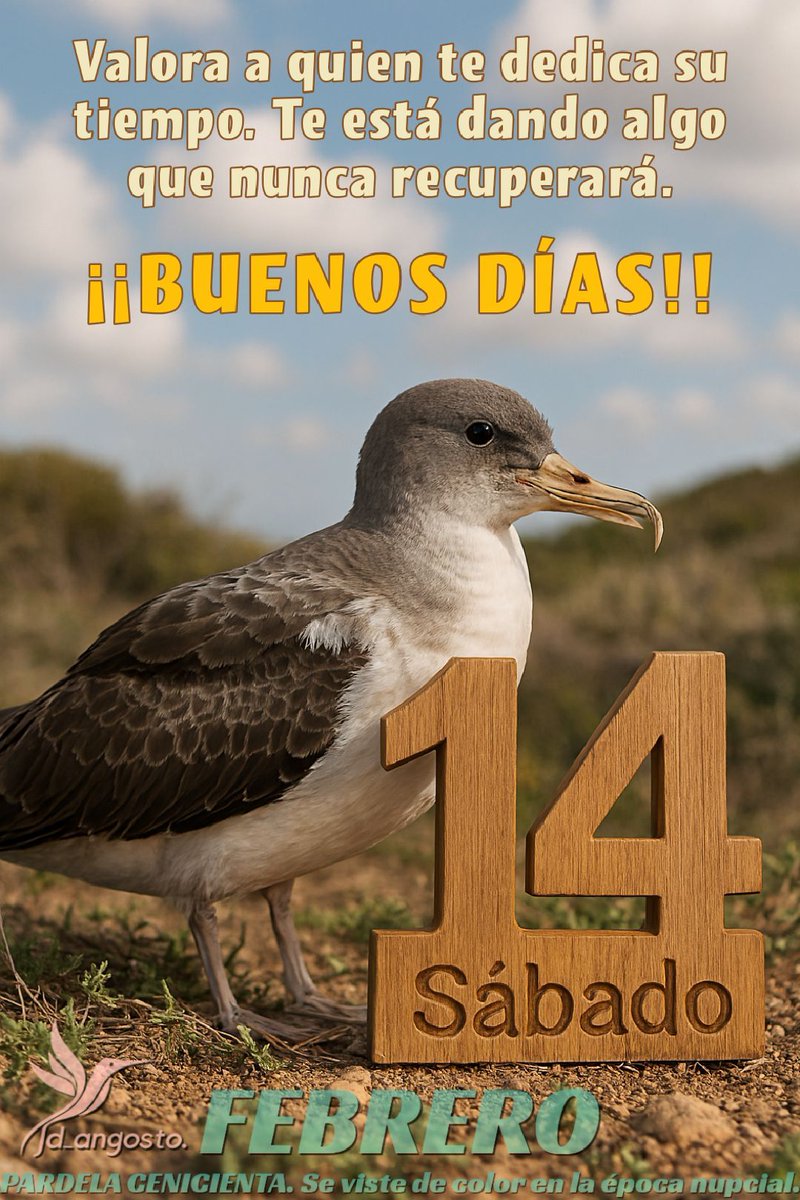 seo.org/ave/pardela-ce…
#buenosdías #frasespositivas #avedeldía