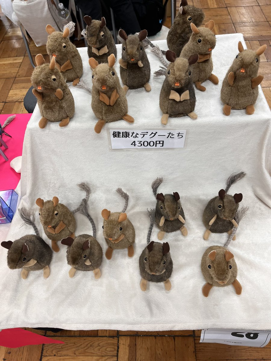 会場を後にする前に、こ、これは…！と思い、チップ君に似た色味の健康