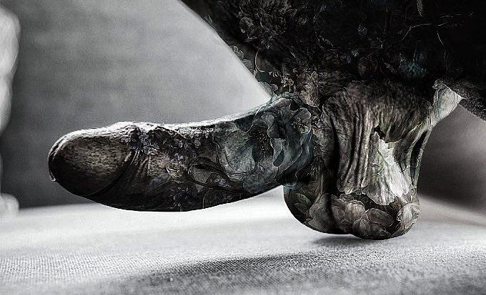 Muse In Bloom tweet media