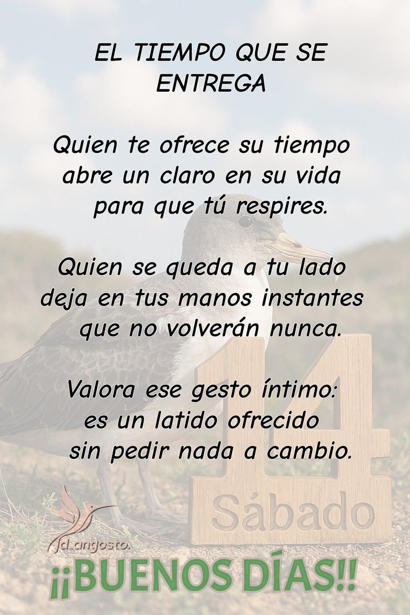 #poemas #poesias #poemascortos #poesiascortas