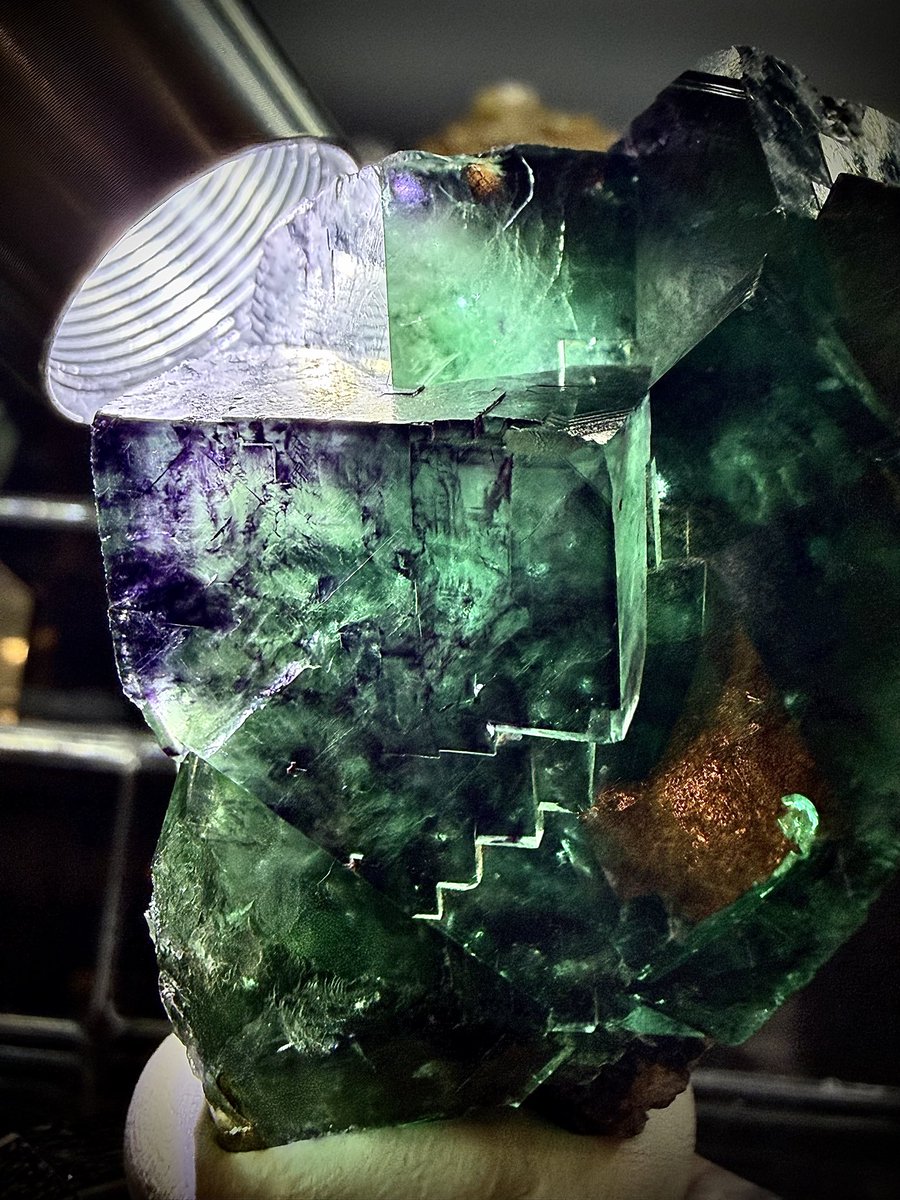 GIGImineral tweet picture