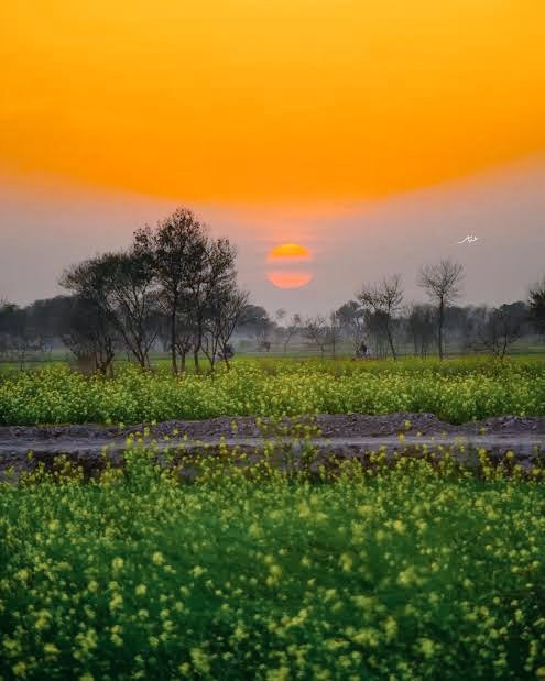 Good Morning 🌄💛🌿 

We are what we think. 
All that we are arises with our thoughts.
With our thoughts, we make the world.✨🌼