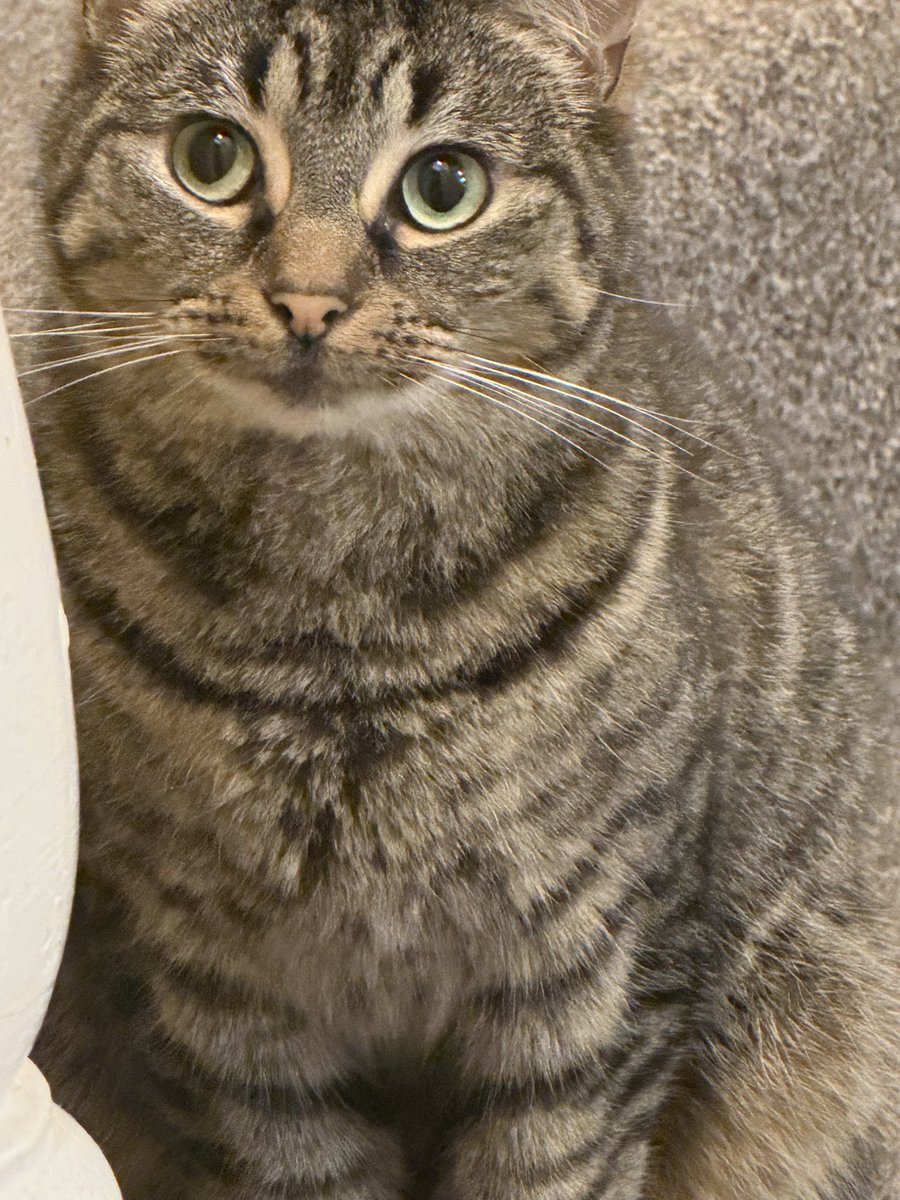 FRG Erfrier tweet media