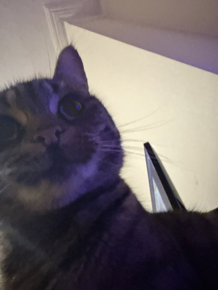 FRG Erfrier tweet media