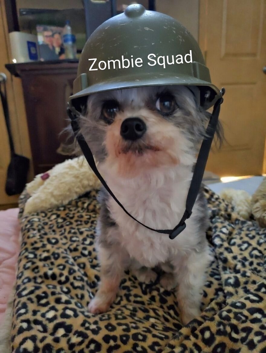 ZeroRice1012 @Vinnie958269385 @ZombieSquadHQ Fankyoo soooo much