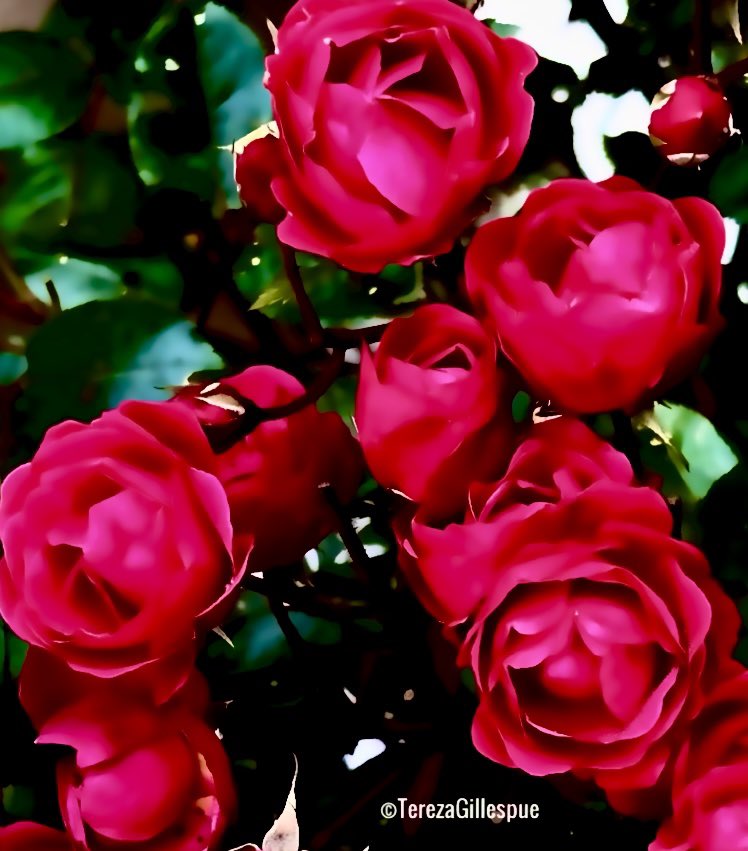 ♥️ Happy #ValentinesDay my beautiful friends. ♥️ I wish you all # ...