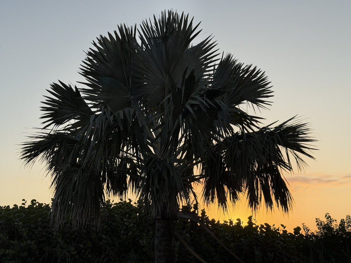 EVENT HORIZON (@thejodyc) on Twitter photo 