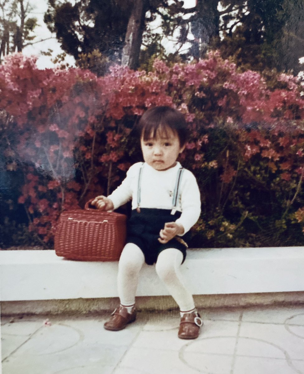 🐆🦌🐘🐑ア🐬ྀི🐣🐰🐯キ🐩🐱🐹🐥 tweet media