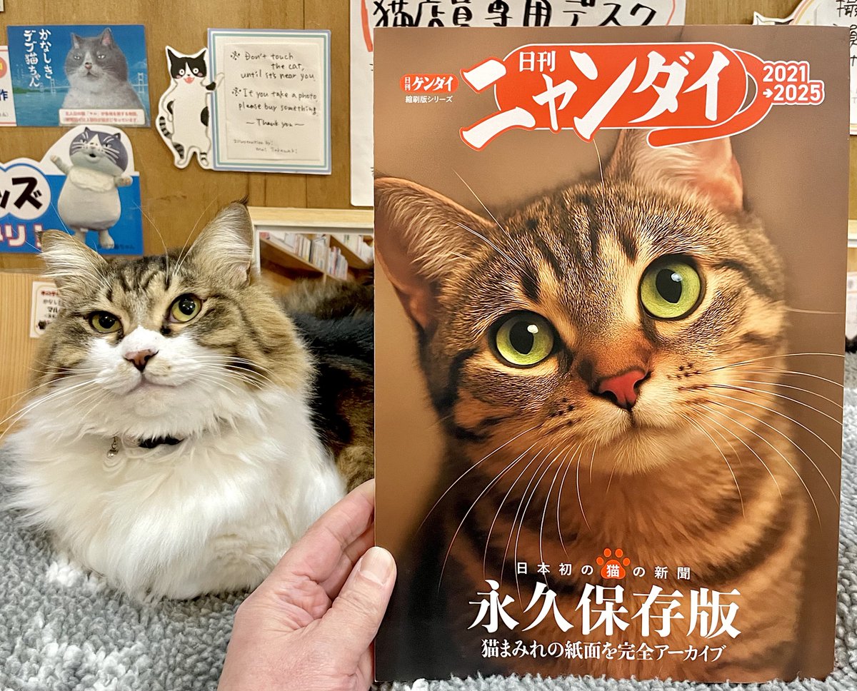 日刊ニャンダイ』2026年版が入荷🗞巻頭は「おじさんだって猫が好き