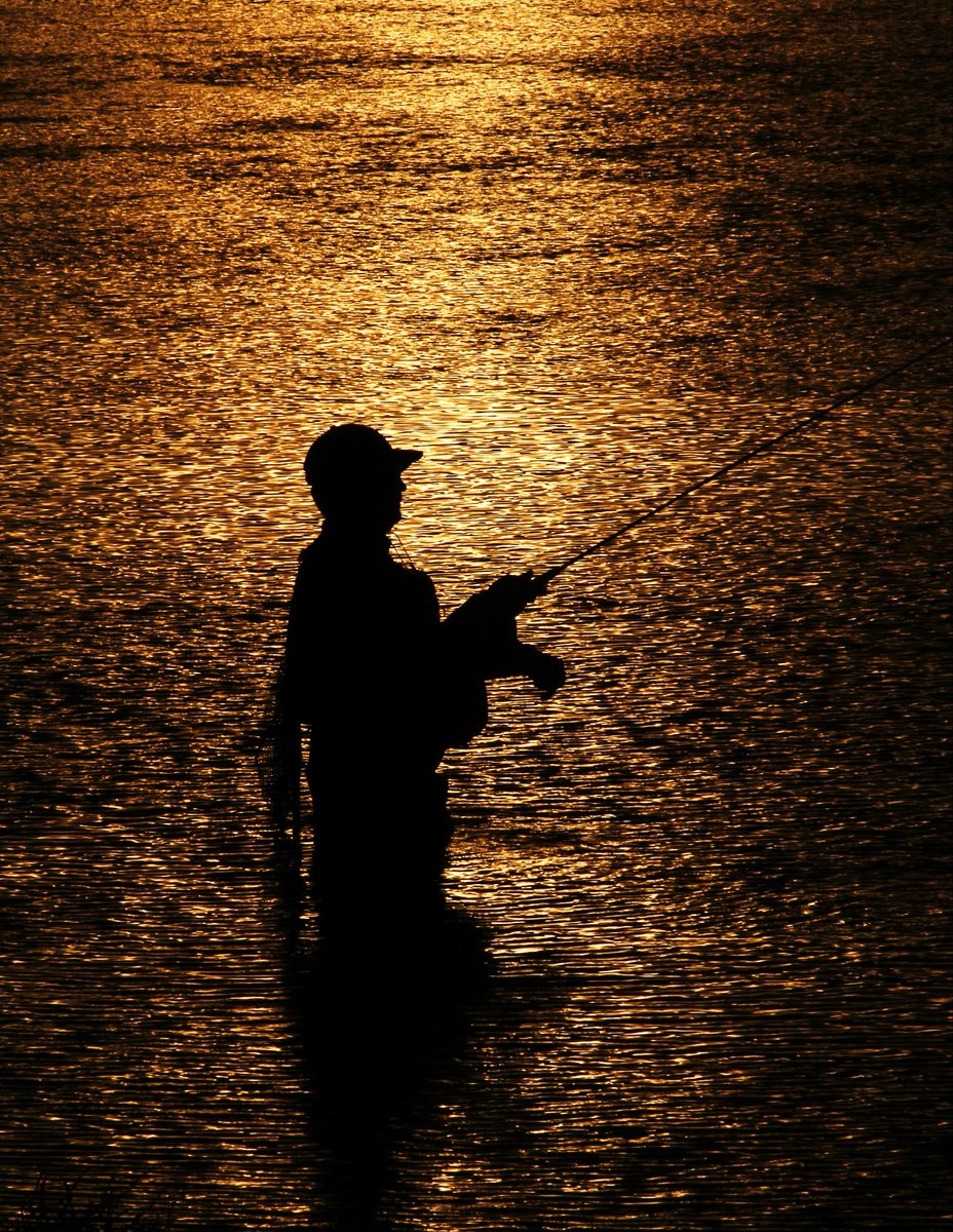 perryralph's tweet image. QP The Day is Done #FlyFishing 

“Fishing the Last Light Of Day”

Fly Fishing just before sunset at the Miracle Mile on the North Platte River in Wyoming #FlyFishing #Wyoming #MiracleMile #Sunset #Silhouette
