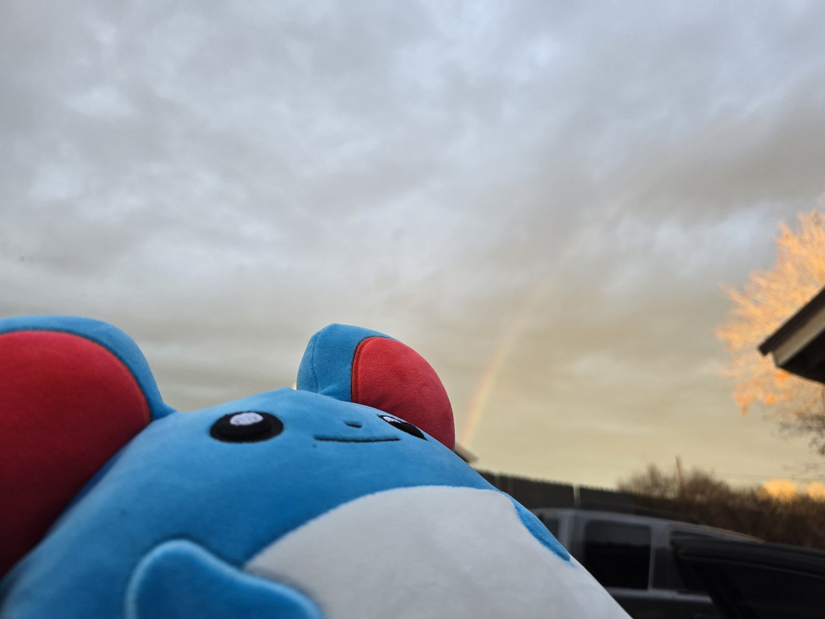 FreyeshtheFresh's tweet photo. Rainbow! https://t.co/ojMIQkREvJ