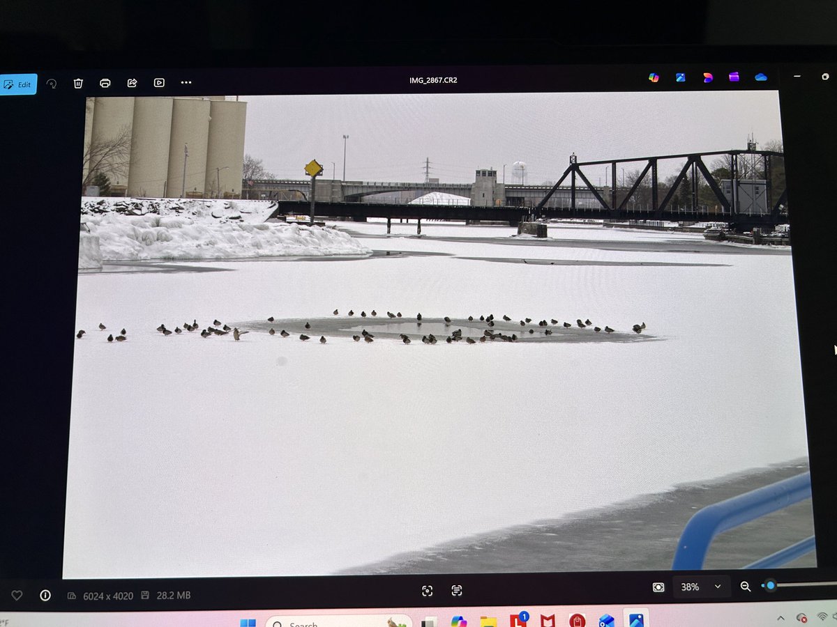 Top Row Pics tweet media