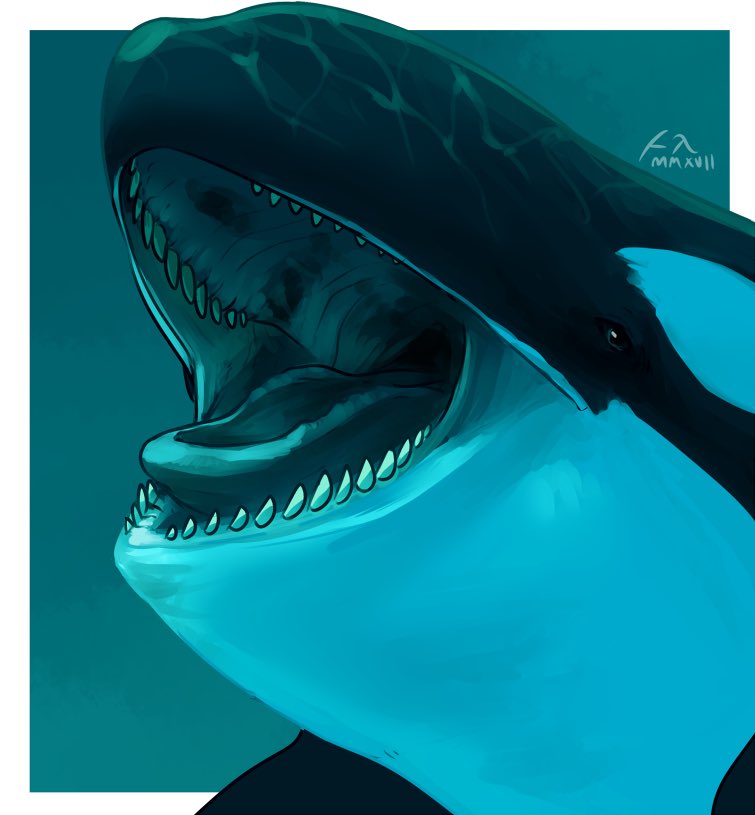 Danny - Big Gulper 🦈💸 tweet media