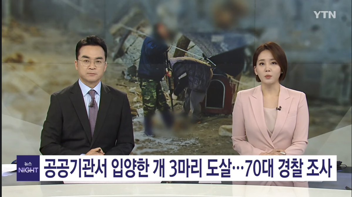 우리나라의 또 다른 큰 문제. 동물학대 처벌수위가 매우 낮음

동물 대상 범죄는 처벌은 고사하고 왜 신상공개를 안합니까?

도살 이유는 식용이었다고 합니다

지옥으로 가라. 그리고 제발 다시 태어나지마라