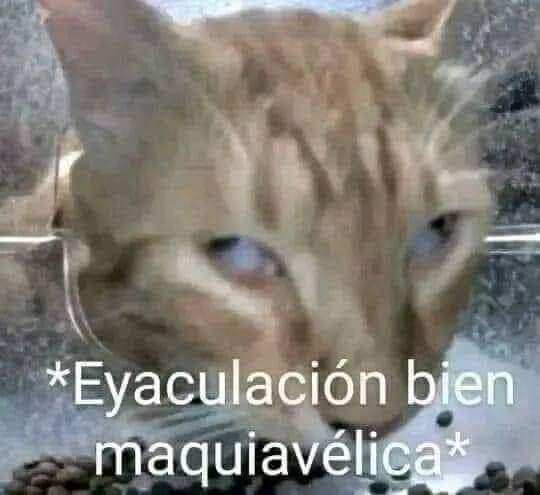 blitzomorningstar tweet media