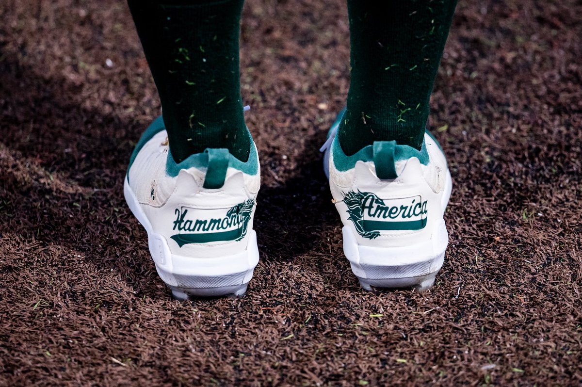 LionUpBaseball's tweet photo. It’s baseball time in Hammond, America! 

#LionUp https://t.co/iZIFHgTK6t
