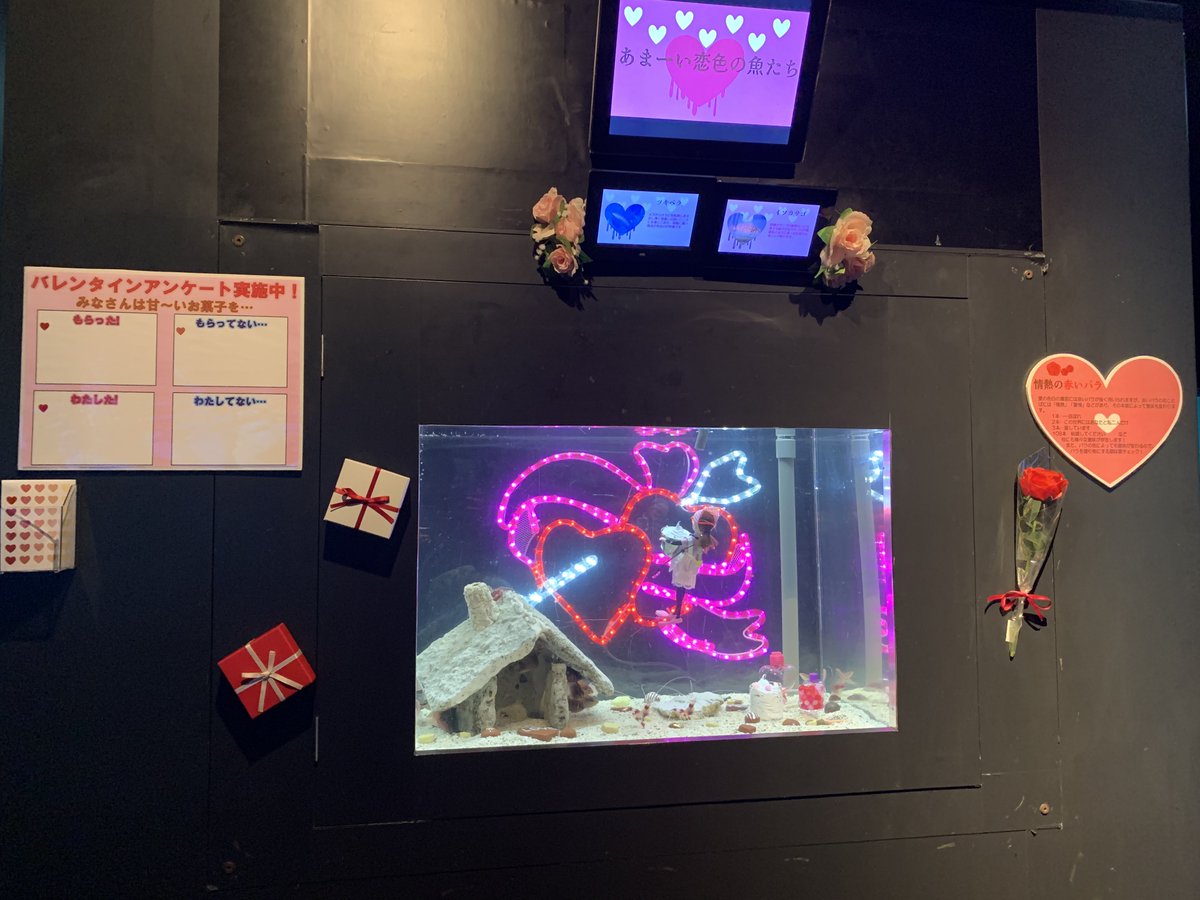 串本海中公園センター tweet media