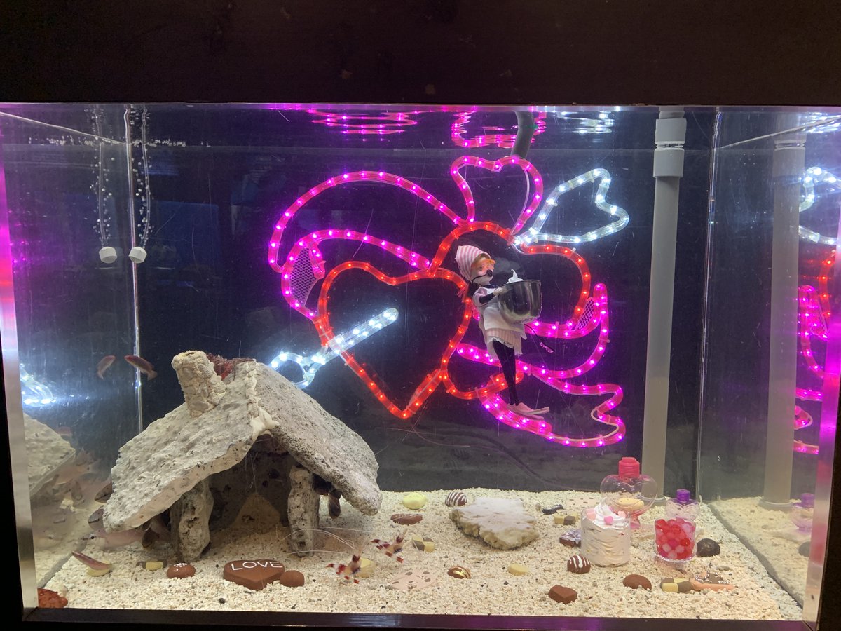 串本海中公園センター tweet media