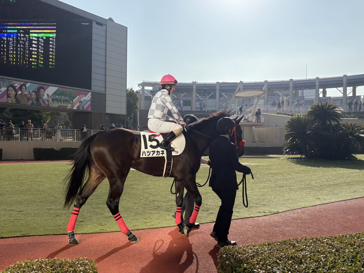 うるう tweet media