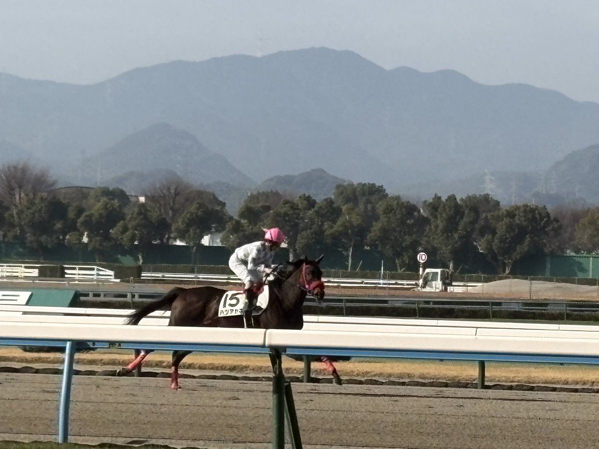 うるう tweet media