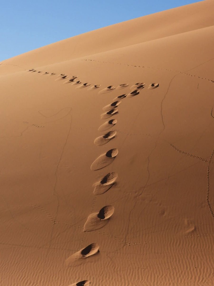 Shekar Iyer tweet media