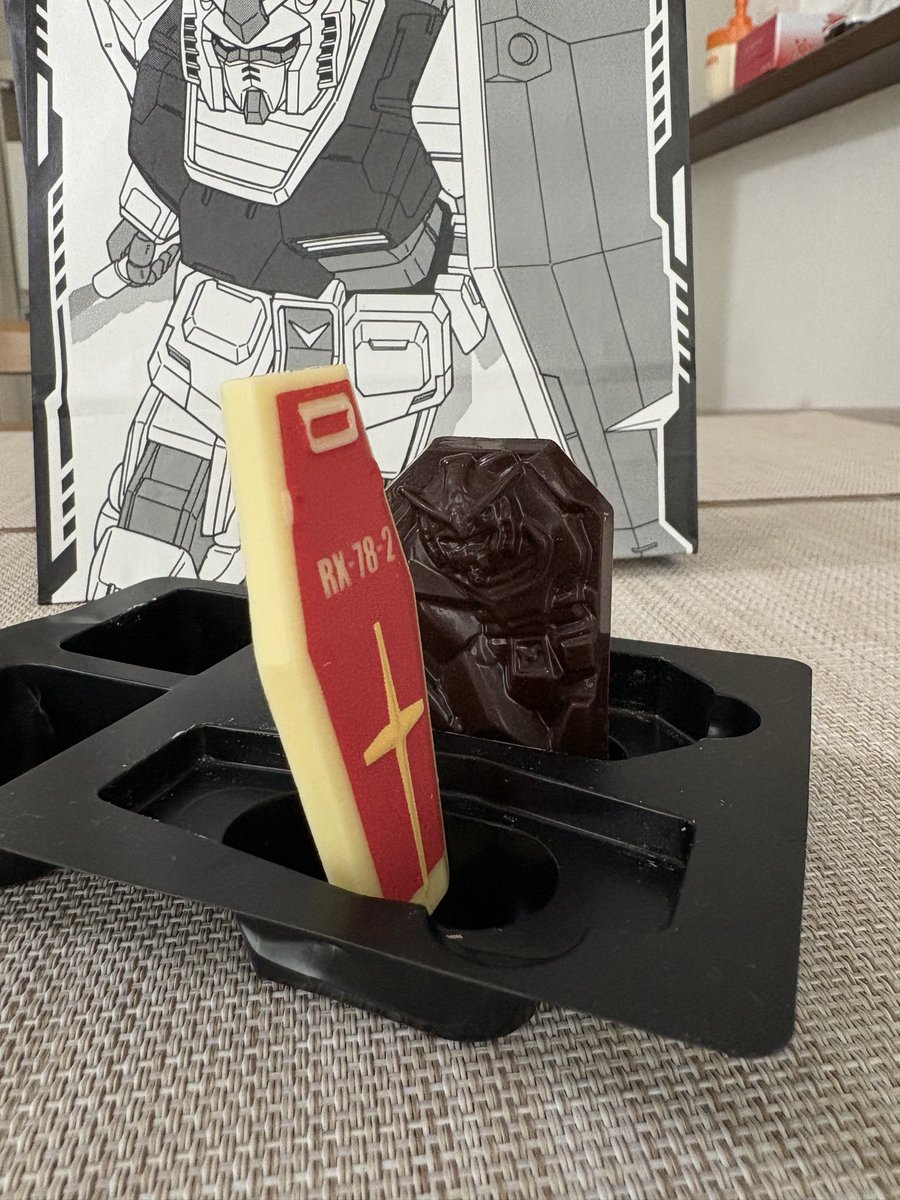 たてたらたてになって、たてになってなかった🛡️
#バレンタイン