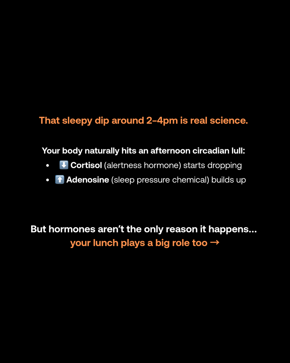 im8health's tweet photo. That sleepy dip after lunch? Totally normal.
But if it happens every day, it might not be fatigue…

It might be missing building blocks for energy production.

Real support goes deeper than stimulants.
It starts with what your cells are made of.
#CellularHealth #IM8Health #energy #IM8Science